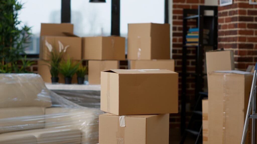 Living room filled with cardboard boxes, furniture, and moving supplies, indicating a recent move or preparation for one.